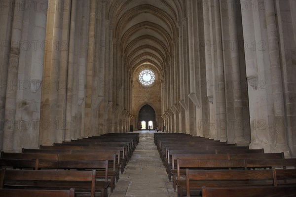 Nave of the church