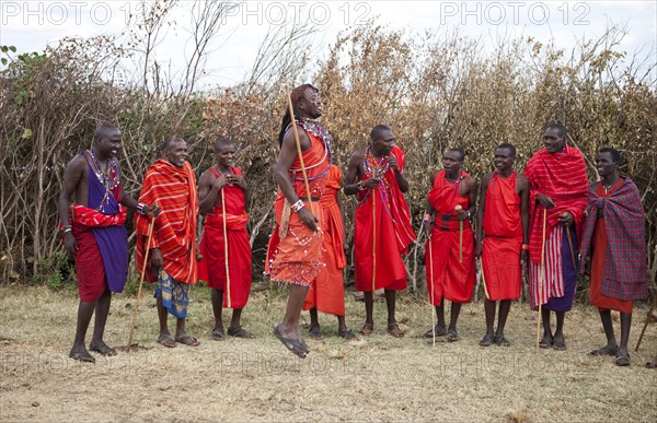 Dance performance of Maasai warriors wearing traditional dress