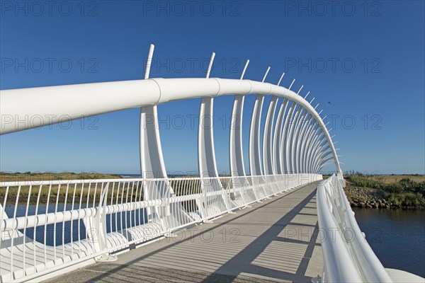 Te Rewa Rewa Bridge against a blue sky