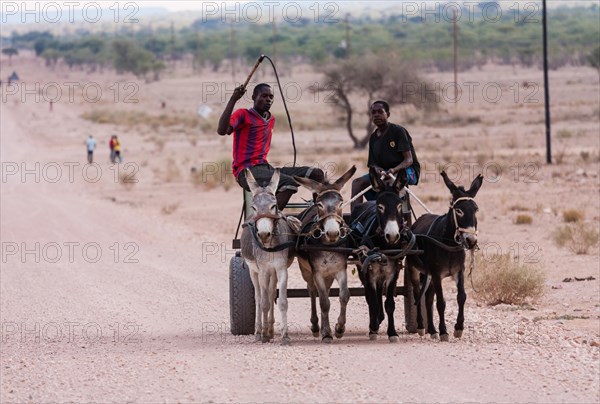 Two young men travelling on a donkey cart