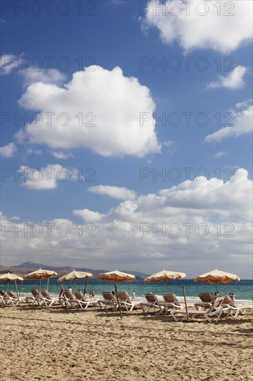 Sun beds and sunshades on the beach