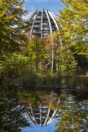 Tree tower