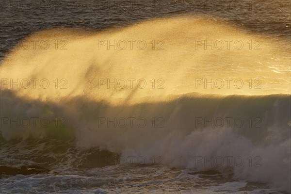 Waves in the evening light