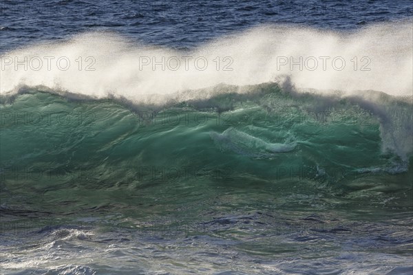 Ocean wave