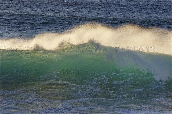 Ocean wave