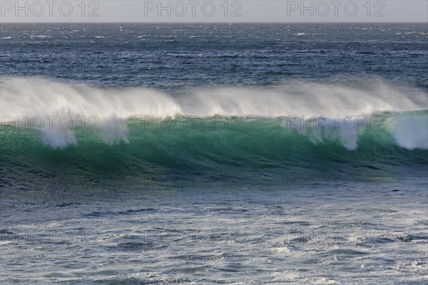 Ocean wave