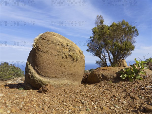 Rock