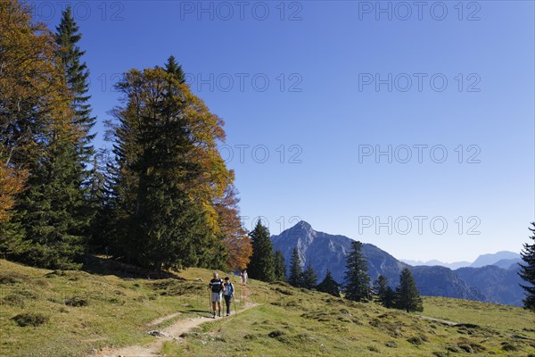 Postalm alpine pasture with Rinnkogel Mountain