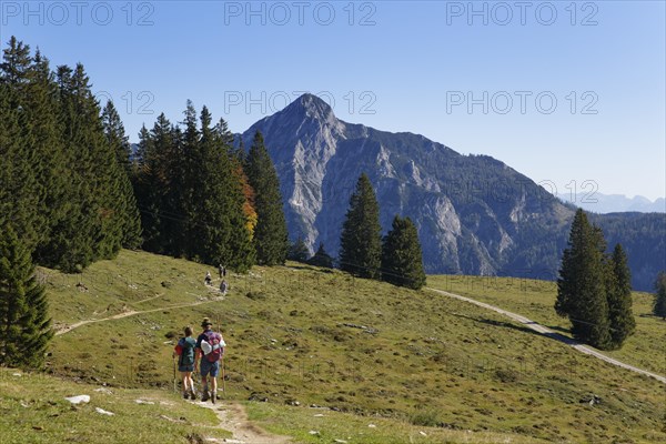 Postalm alpine pasture with Rinnkogel Mountain