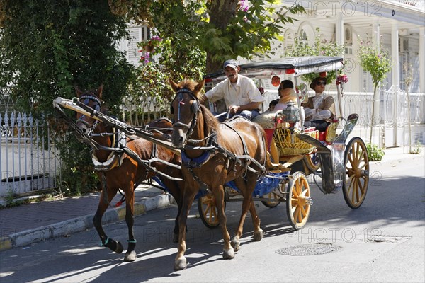 Horse-drawn carriage