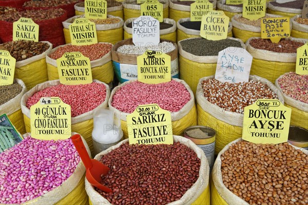 Various beans in bags