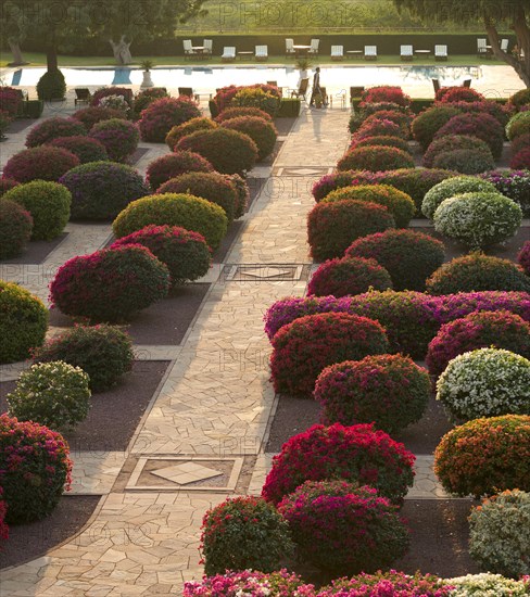 Gardens with colourful bougainvillea bushes