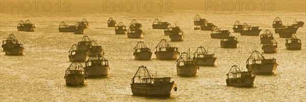 Fishing boats