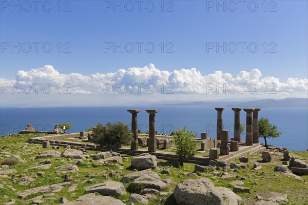 Doric columns of Athena Temple