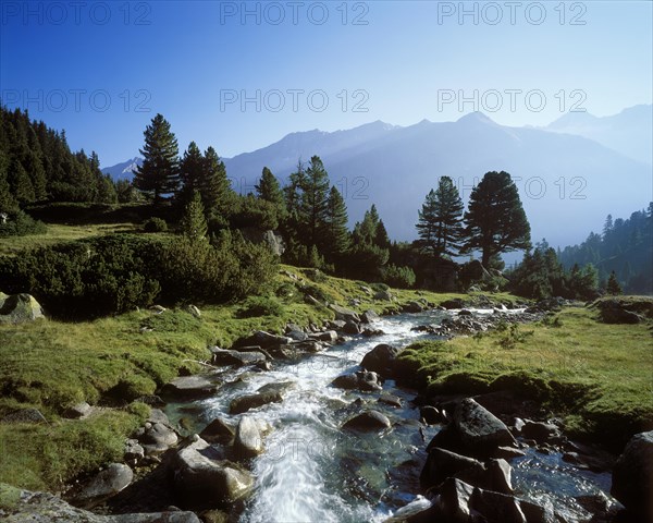 Mountain stream