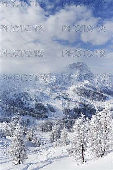 Nassfeld skiing region with Mt Trogkofel