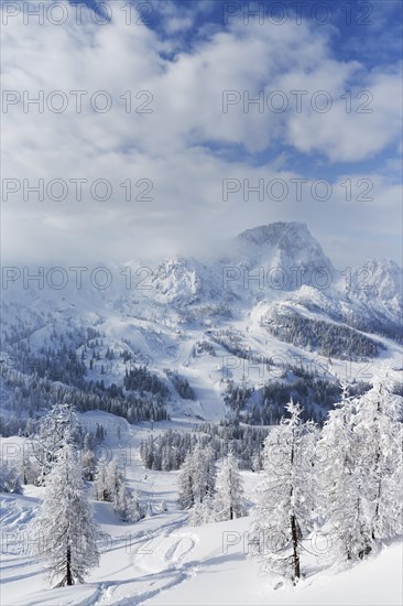 Nassfeld skiing region with Mt Trogkofel