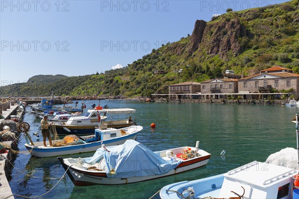 Boats in the harbour