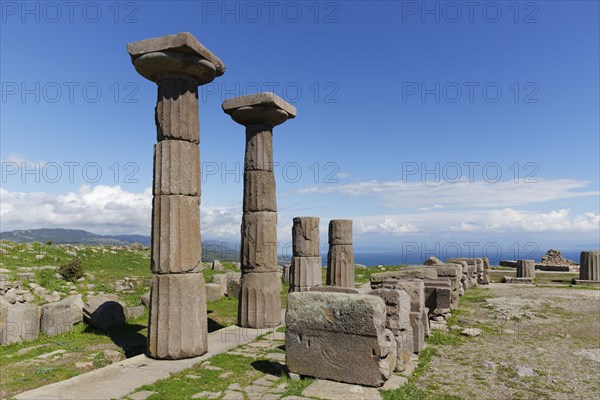 Doric columns of Athena Temple