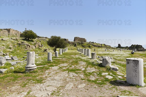 Sanctuary of Athena