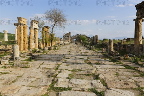 Street with colonnade