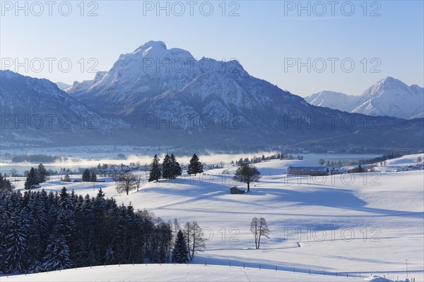 Mount Sauling or Mount Saulingspitze with Forggensee Lake