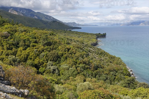 North coast in Dilek National Park