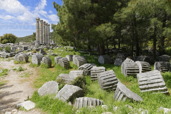 Ruins of the Temple of Athena