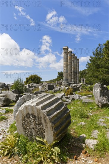 Ruins of the Temple of Athena