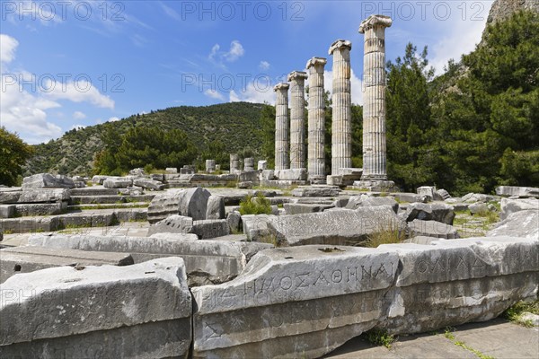 Ruins of the Temple of Athena