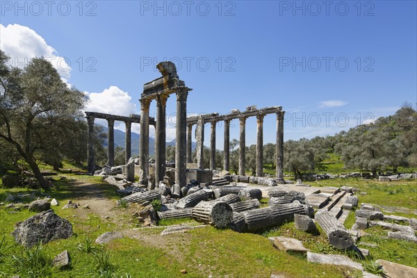 Zeus Temple of Euromos