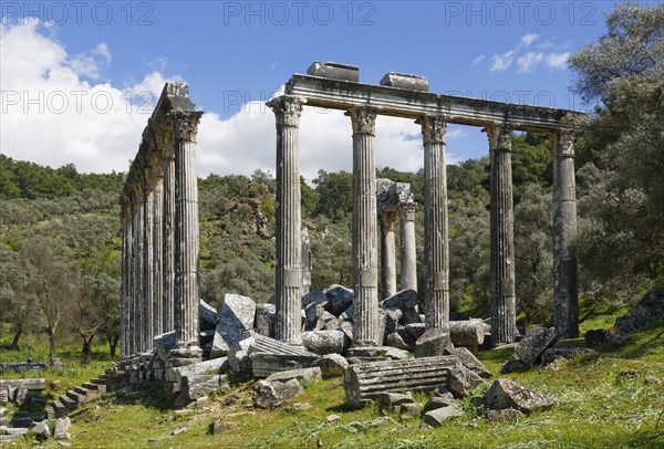 Zeus Temple of Euromos