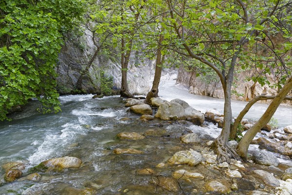 Saklikent Gorge or Saklikent Canyon