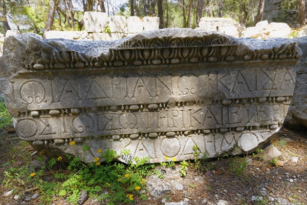 Inscriptions on the Boulevard