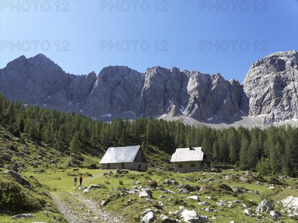 Obere Wolayer Alm mountain pasture