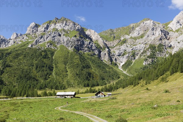 Ingridalm mountain pasture in Frohnbach Valley