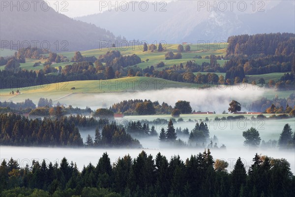 Landscape in the Alpine Foreland