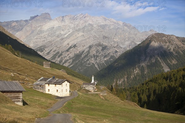 Houses in the high mountain valley of Val Federia