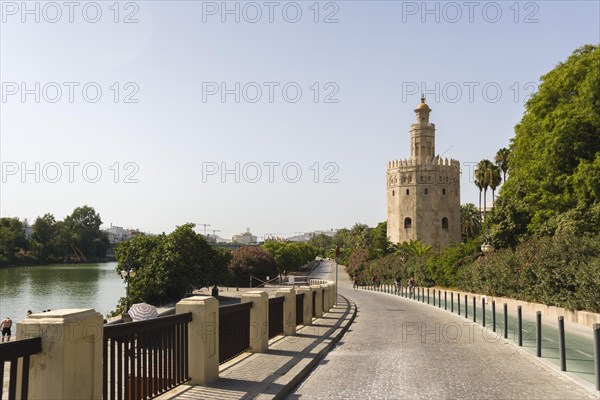 The Torre del Oro