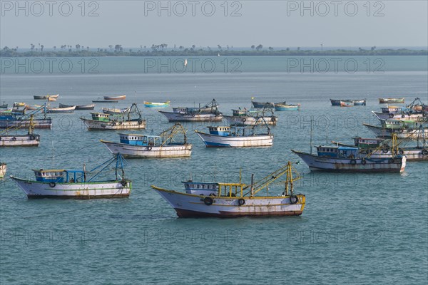 Fishing boats