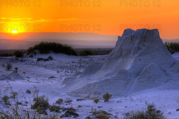 Gypsum dunes of Las Arenales in Cuatro Cienegas Nature Reserve