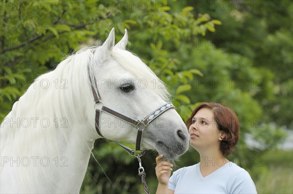 Woman with a Connemara stallion