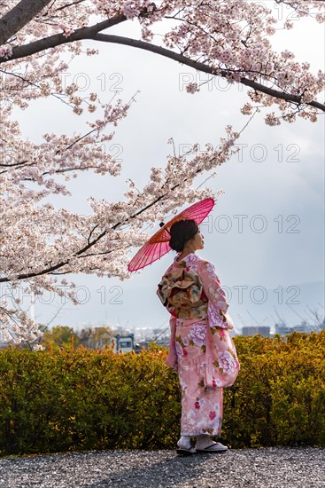 Japanese woman in traditional clothes