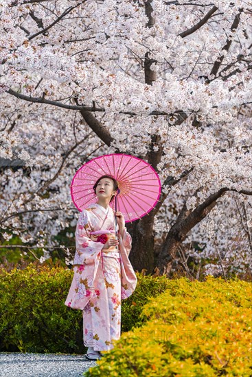 Japanese woman in traditional clothes