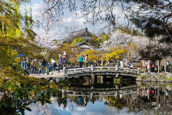 Lake with bridge in Maruyama Park