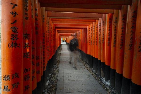 Pedestrian at Fushimi Inari-Taisha