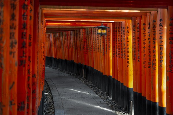 Fushimi Inari-Taisha