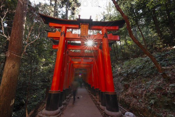 Fushimi Inari Taisha