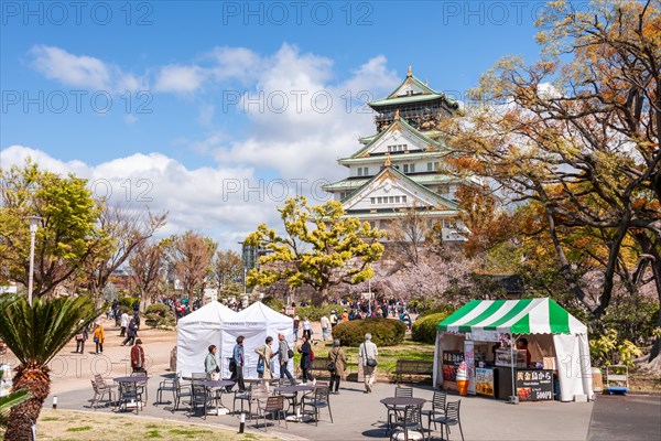 Japanese Castle