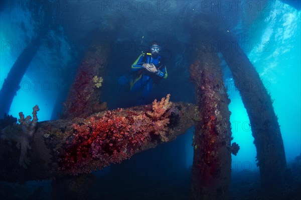 Old abandoned pier for tankers and supply boats